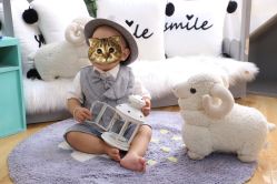 点击看大图 -哈尼Honey baby 儿童摄影(立丰国际公寓店)