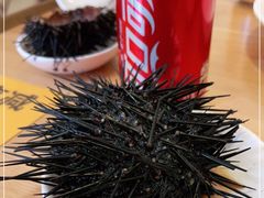 -海胆小馆(东北水饺·春柳店)