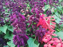 -苏州河梦清园环保主题公园