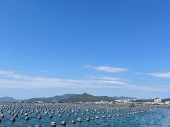 -深圳海钓·深圳钓鱼·拓展聚会鱼排