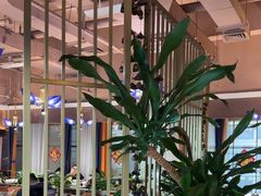 -牧雲子·臻选云南菜 .商务宴请(泰然大厦店)