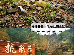 -三块石国家森林公园