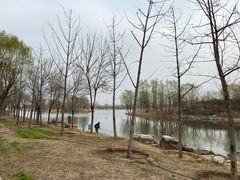 -马家湾湿地公园