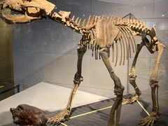 -北京周口店北京人遗址博物馆