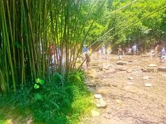 -紫云谷景区