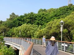 -金鸡山公园