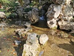 -上海醉白池公园