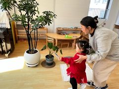 -婴智贝佳蒙特梭利早教托育中心(杨浦店)