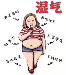 -莲芸拔罐减肥