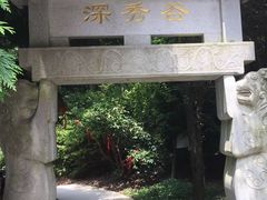-四明山国家森林公园