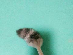 -1013 PET SHOP精品宠物商店(丁香店)