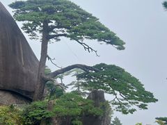 -黄山光明顶山庄