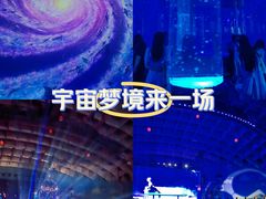 -海合安武汉极地海洋公园