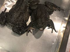 -活鱼馆(宜兴埠店)