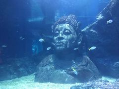-暹罗海洋世界