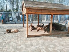 -长白岛森林公园