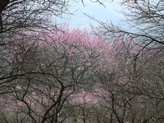 -溪口-滕头旅游景区