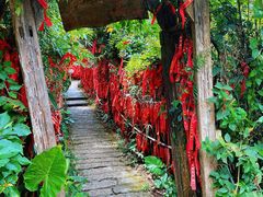 -海南铜鼓岭景区