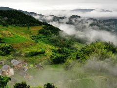 -紫鹊界梯田景区