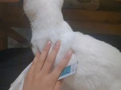 -有何Book(六堰体育馆店)