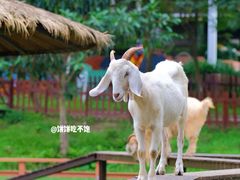 -盈香心动乐园