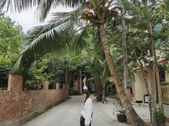 -东郊椰林