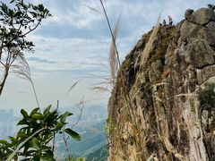 -狮子山郊野公园