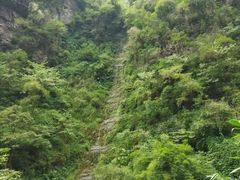 -青龙山国家森林公园