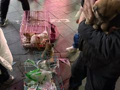 -济南高新万达广场