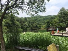 -天目湖山水园