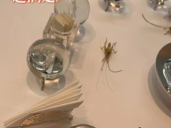 -九献私房菜(亮马河花园私宴店)