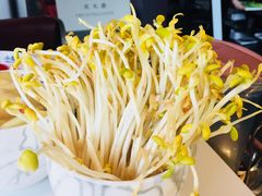 -小龙坎火锅(IFS HOT店)