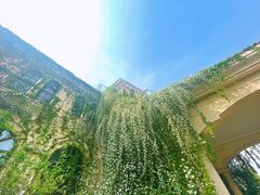 -府河摄影公园