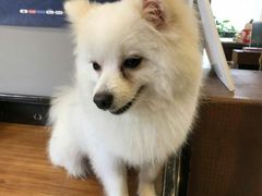 -肆兮眼镜·蔡司·徕卡战略合作店(大坪店)