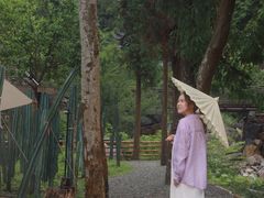 -MOJ coffee(瓯海泽雅水碓坑店)