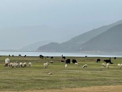 -纳帕海依拉草原