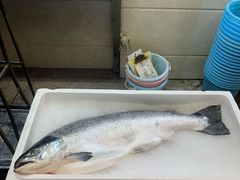 -新享乐海鲜(翠华路店)