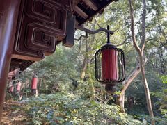 -杭州半山国家森林公园