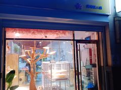 -喵店&猫咖