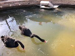 -南宫五洲植物乐园