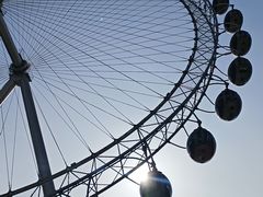 -海合安武汉极地海洋公园