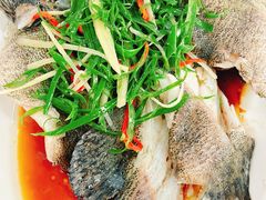 -众味海鲜大排档·活海鲜·潮汕味(南澳店)