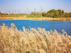 -青龙湖公园
