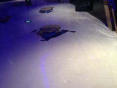 -星辉电影公园(时代广场CC MALL店)