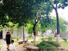 -不倒翁·徽天下名菜楼(马鞍山路店)