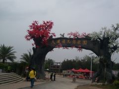 -天适樱花悠乐园