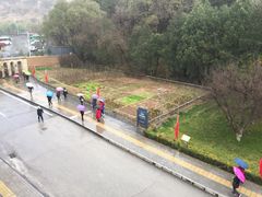 -延安杨家岭革命旧址