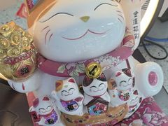 -美可普口腔医院(东街分店)