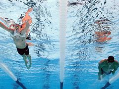 -奥林匹克体育中心游泳跳水中心