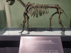 -大庆市博物馆